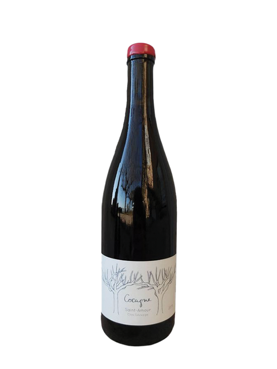 Clos Sauvage - Saint-Amour - Cocagne - 2023
