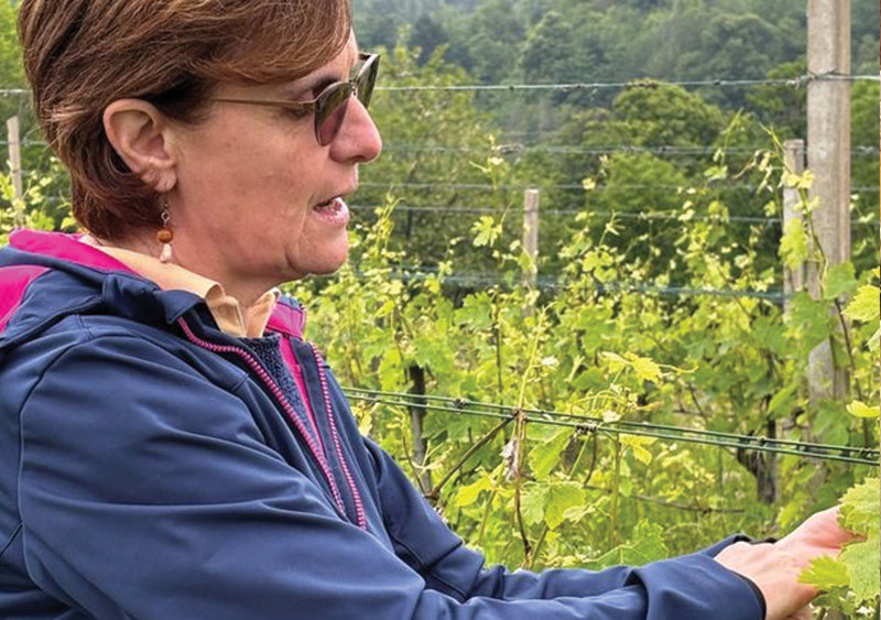 Podere ai Valloni