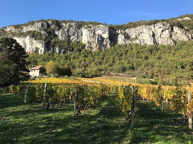 Domaine Bärtschi - Sous les Rochers la Vigne – Chardonnay – 2019